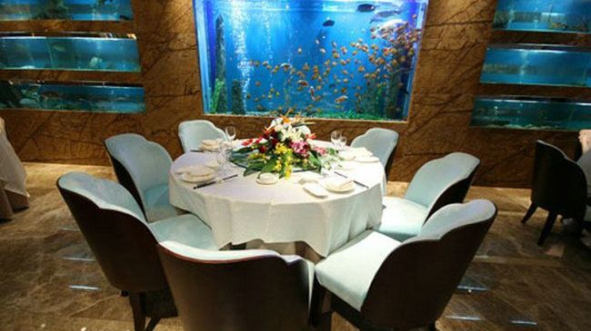 Four Seasons Rayli Hotel Ningbo Restaurant photo